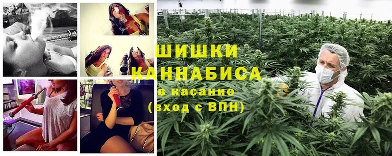 Канабис THC 21%  маркетплейс официальный сайт  Бакал  мега ССЫЛКА 